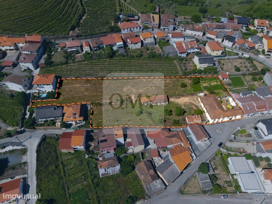 Quintinha Alto Douro Vinhateiro com Moradia Brasonada