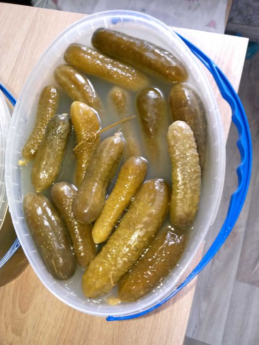 Продам соление огурец и перец бочковой