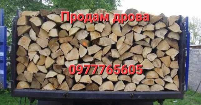 Дрова твердих порід