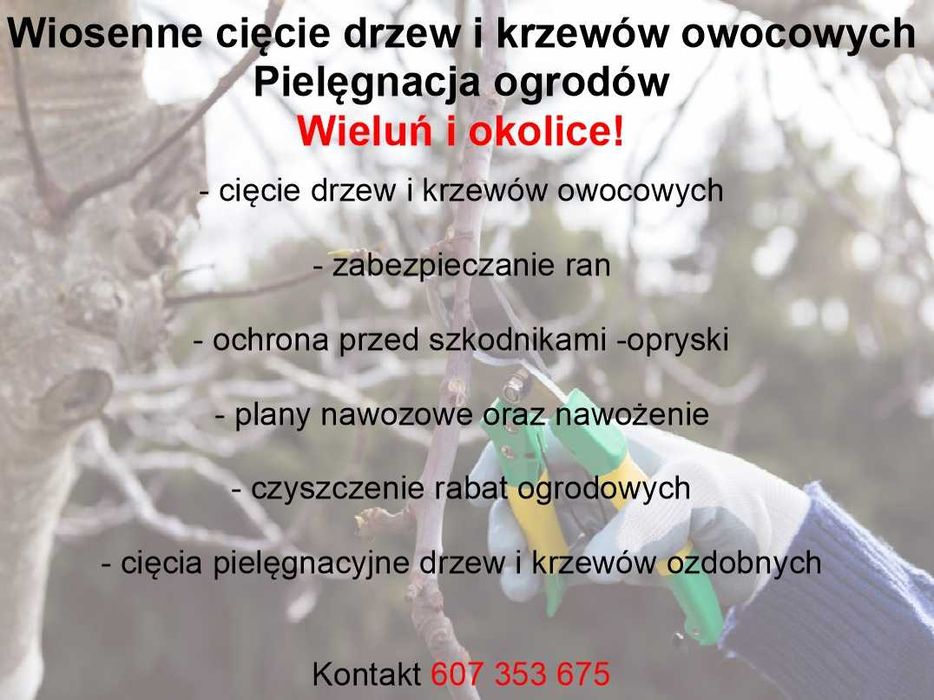 Wiosenne cięcie drzew owocowych , pielęgnacja ogrodów