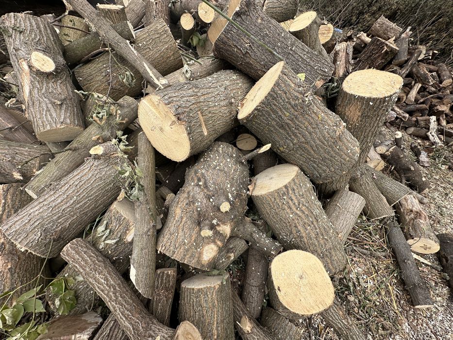 Дрова колотые дуб ясень от 3  кубов с доставкой по харькову и облости
