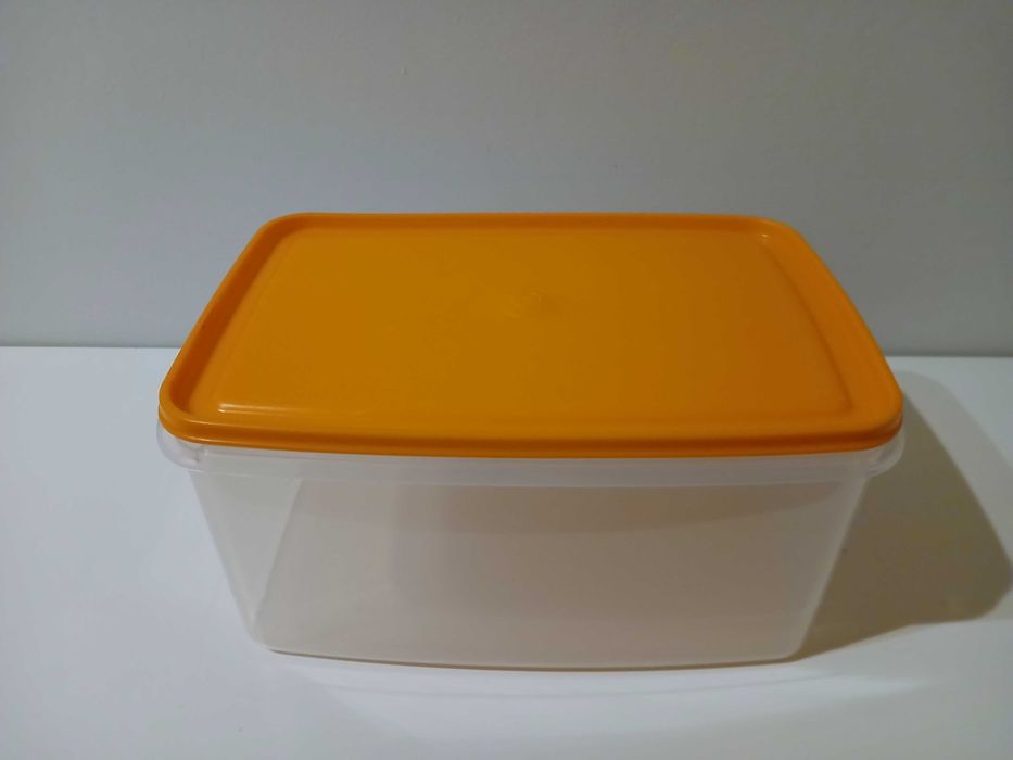 Large Plastic Box424982726742517760
