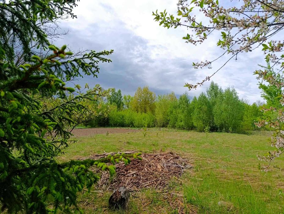 Дачний будинок для постійного проживання !