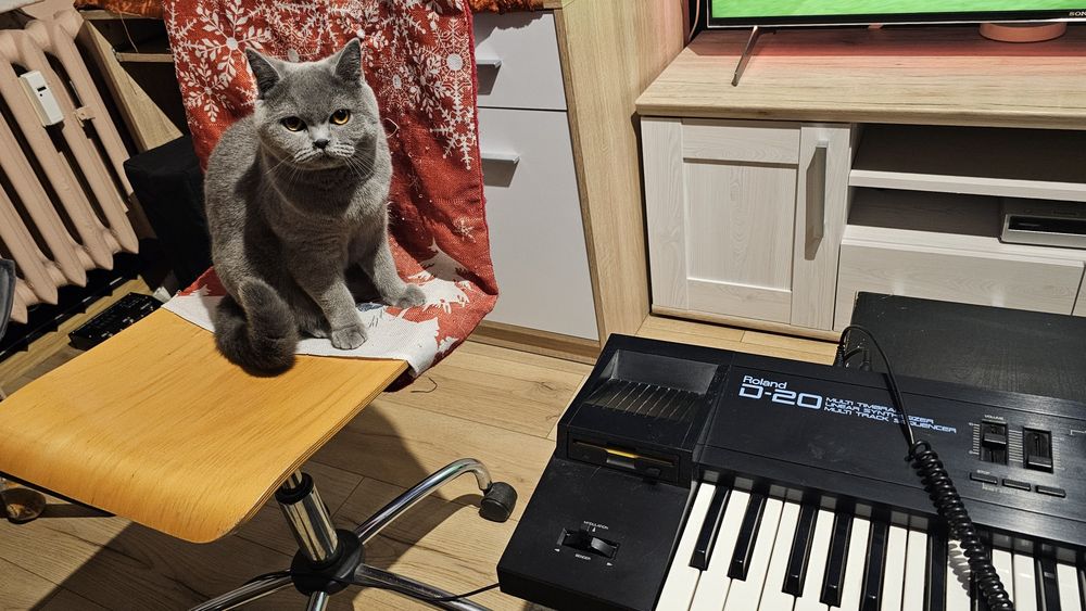 Roland D-20 Multi Timbral Linear Synthesizer