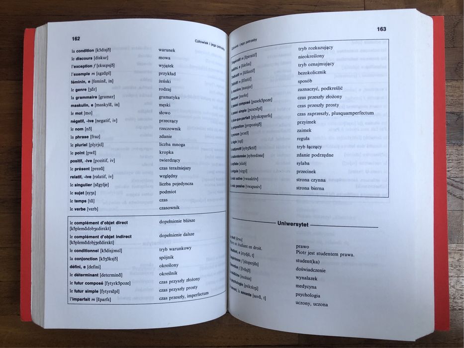 Francuski-polski Słownik Tematyczny