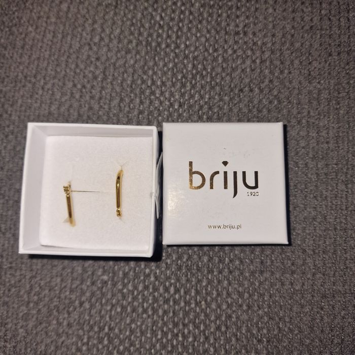 Nowe kolczyki Briju