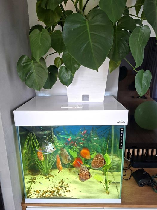 Akwarium opti set 130
