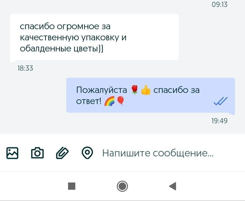 Сортовой Декабрист.Шлюмбергер(Голден Февер),комнатные цветы.