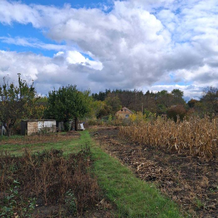 Розкіш Тиші: На Продаж Виставлено Заміський Будинок