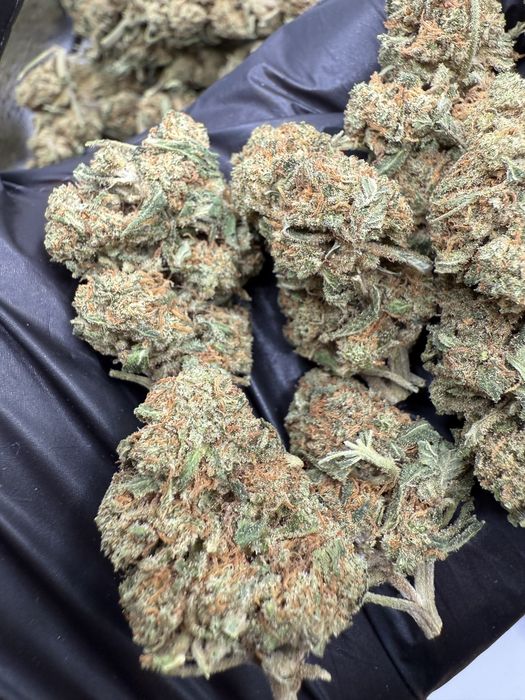 Susz CBD Titan Kush/THC<0.3%