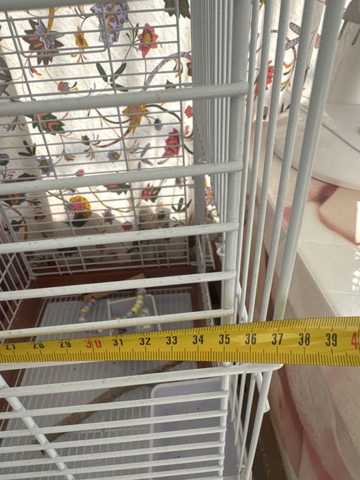 Gaiolas e casas para pássaros como nova .