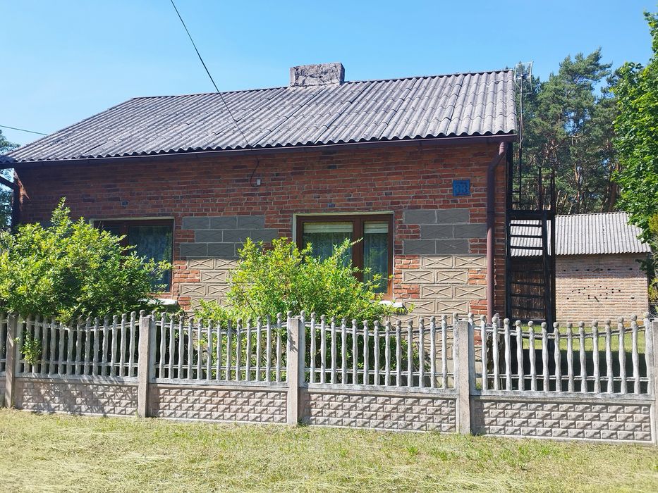 Zdjęcie 7