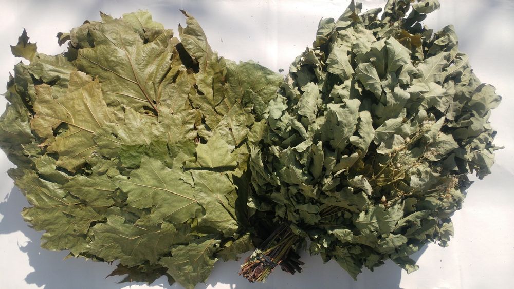 Банні віники. Канадський дуб, береза, вишня баня Банные веники