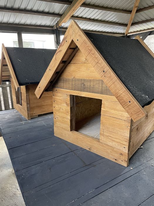 Buda dla psów ocieplana