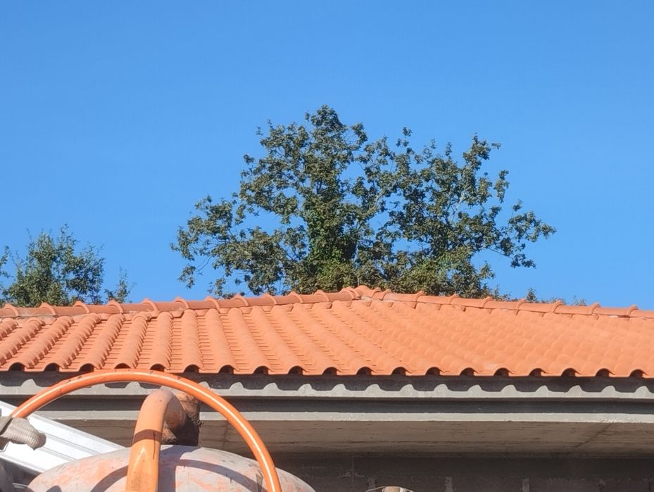 Pinturas e renovações
