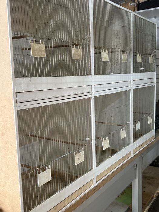 Kanarki klatki regały  led oświetlendla drobnych ptaków egzotycznych