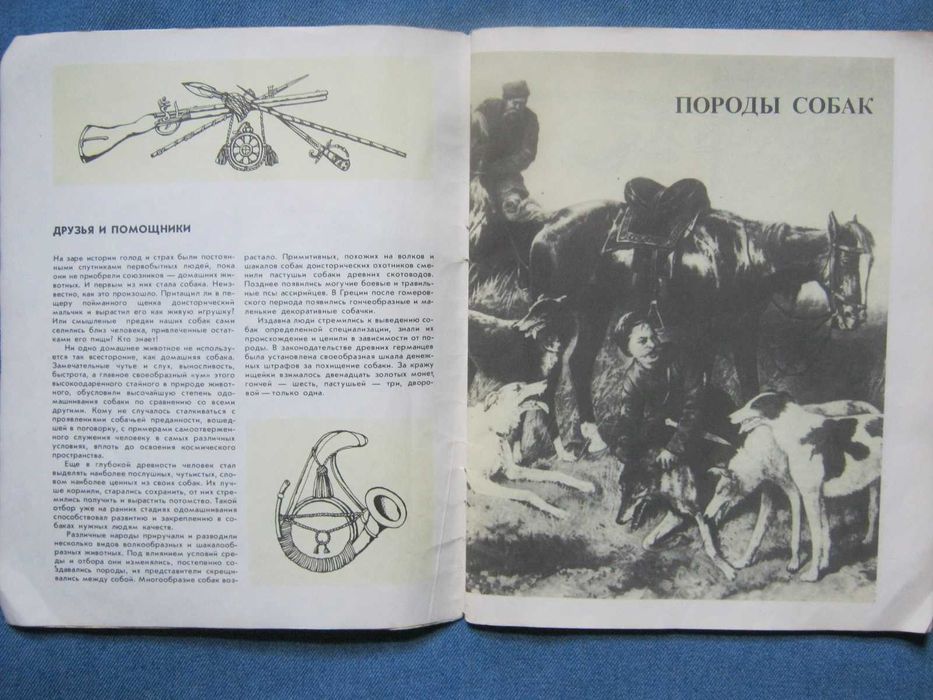 Книга-альбом "Охотничьи собаки".