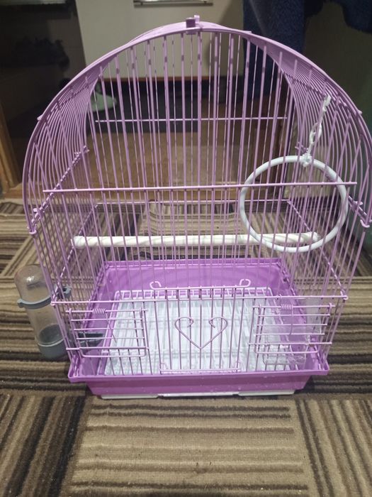 Клетка для попугаев  и корм