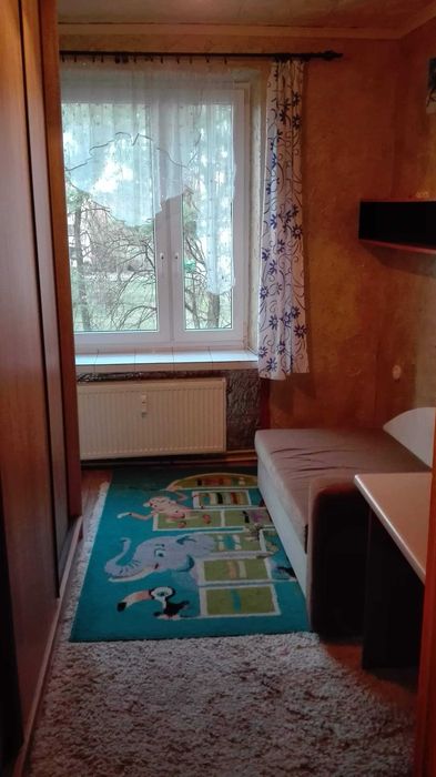 Mieszkanie do wynajęcia