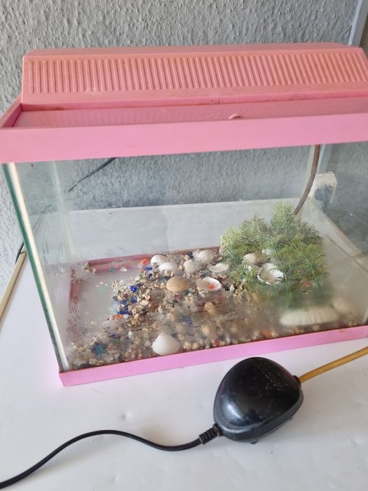 Aquário  pequeno