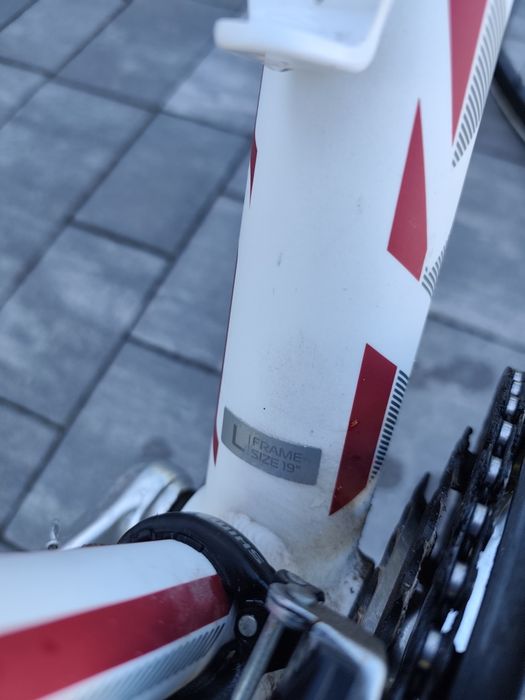 Rower Kross evado 3.0