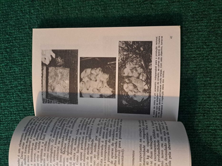 A Produção de Coelhos - Ph. Surdeau e R. Henaff