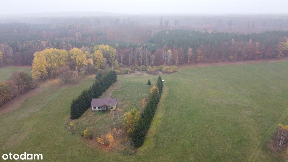 Działki budowlane w miejscowości Mosina gm. Witnica