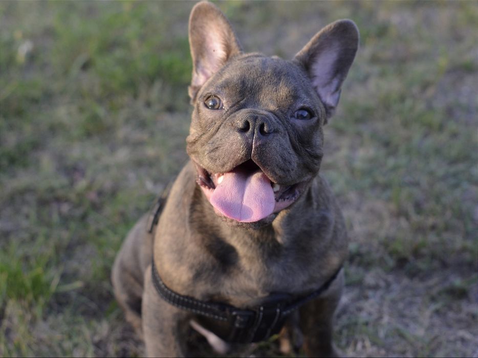 Блакитний хлопець