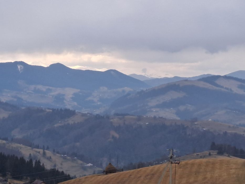 Будинок в Карпатах
