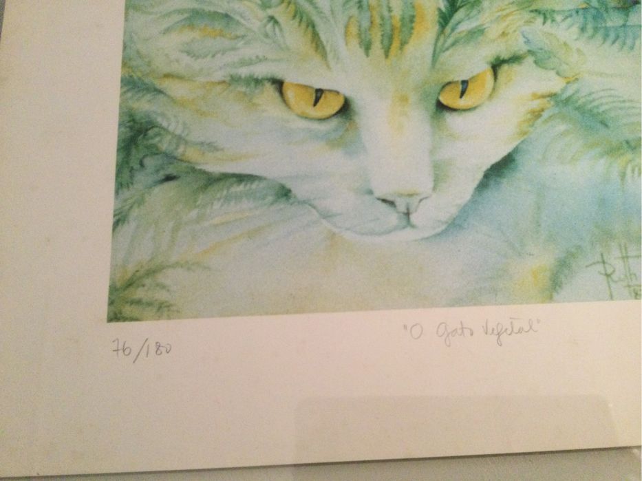 Serigrafia “O gato vegetal”
