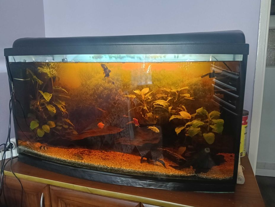 akwarium komplet 200