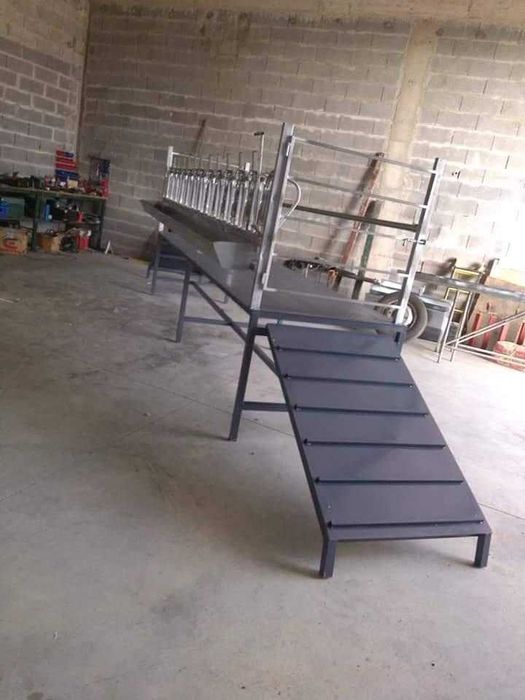 Amarres e máquinas de ordenha