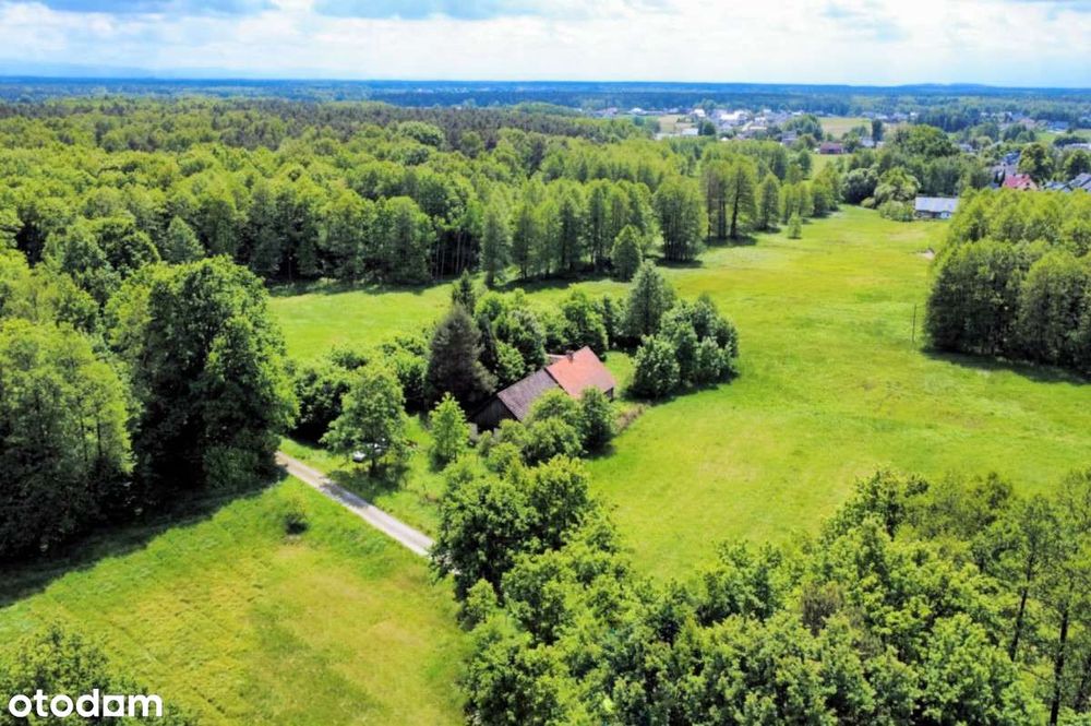 Siedlisko, była leśniczówka Lasów Państwowych bez sąsiedztwa, 2007 m2