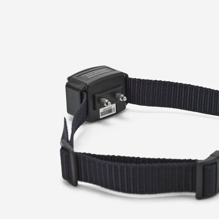 Coleira Antilatidos para Cão Canicalm Premium