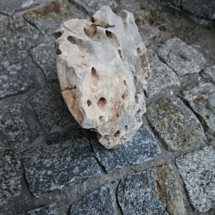 Kamień do akwarium krewetkarium itp.