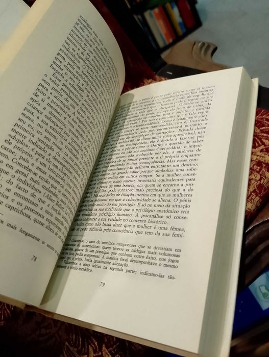 O 2º Sexo - Simone de Beauvoir