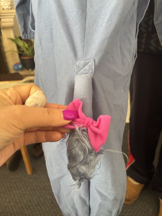 Fato de Carnaval  Personagem “Eeyore” - Burro do Winnie the Pooh