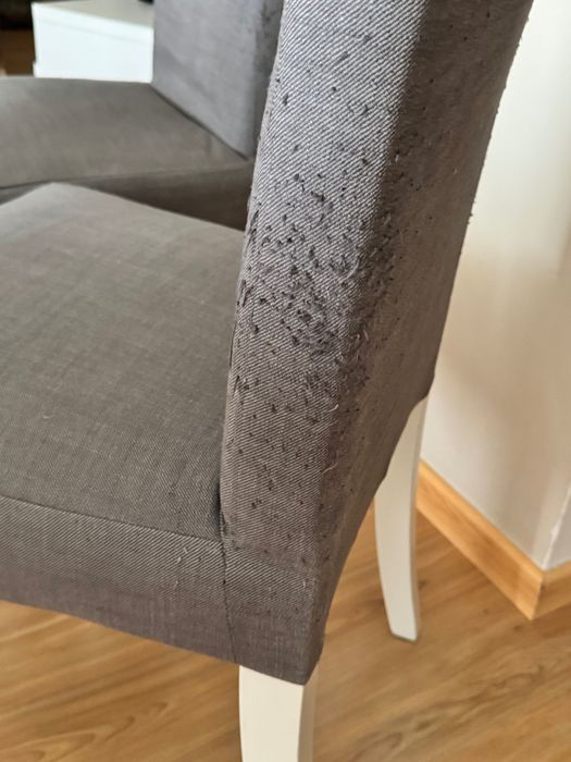 Cadeiras IKEA com capa amovível cinzenta