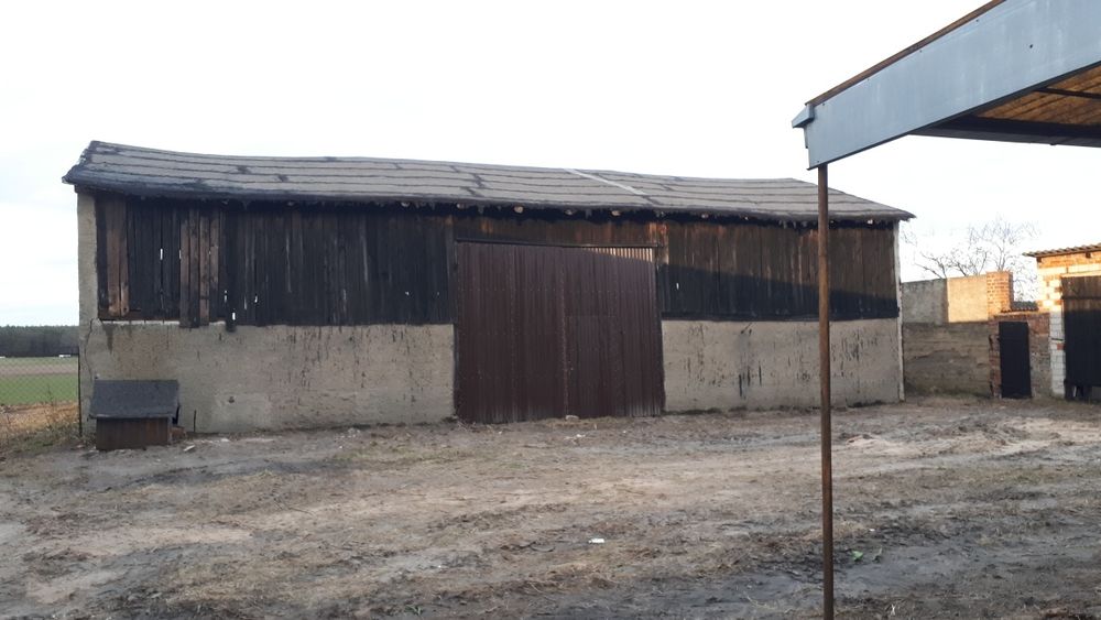 Sprzedam gospodarswo