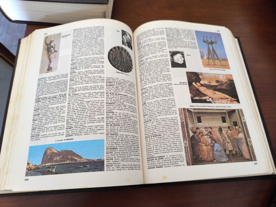 Dicionário Enciclopédico Koogan- Larousse - Seleções