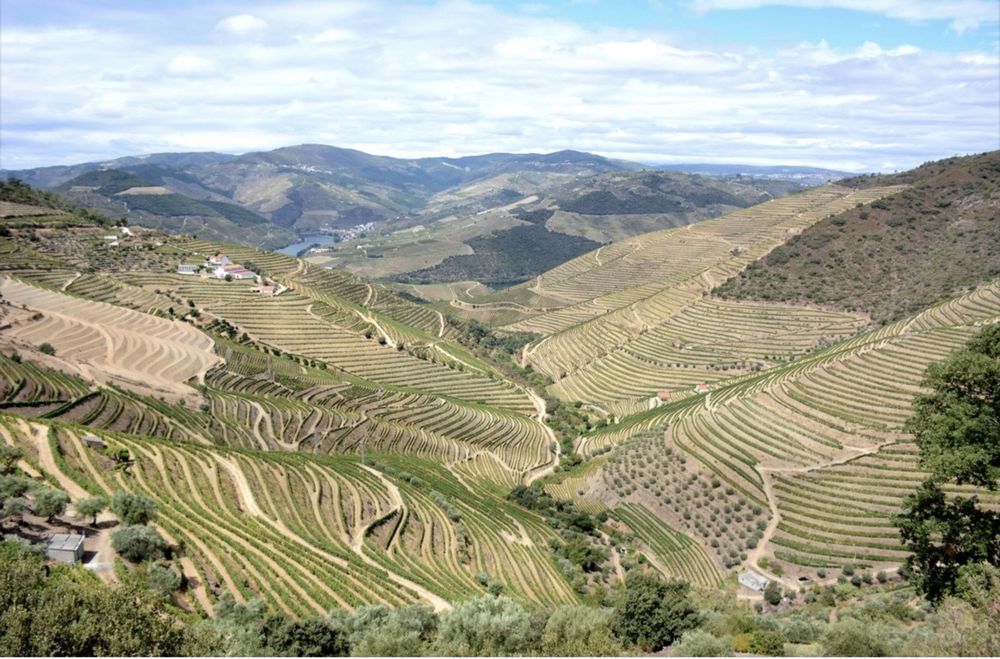 Quinta da Abelheira