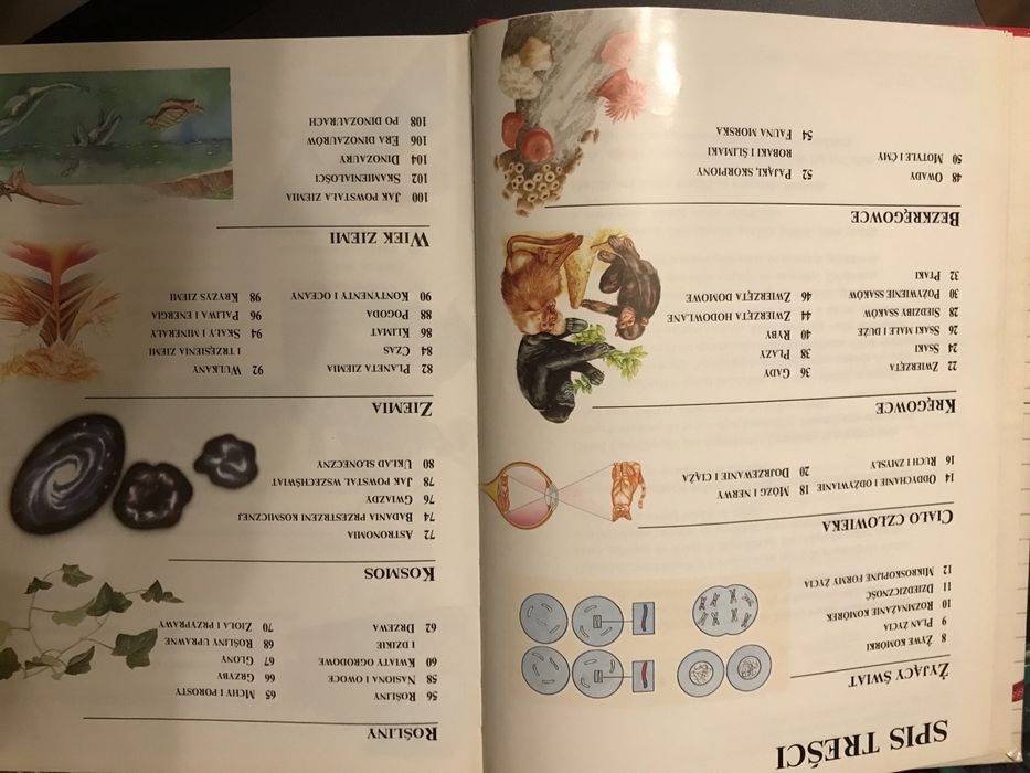 Szkolna encyklopedia