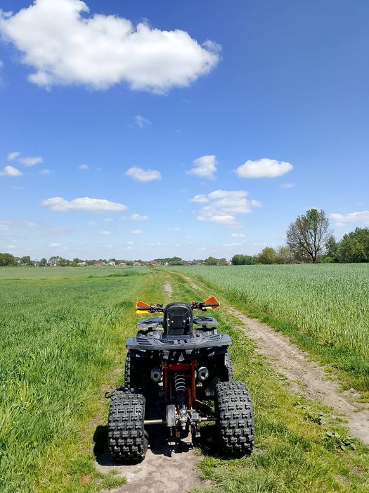 Quad Barton Raptor 125 nie (50,110,150,200,250)