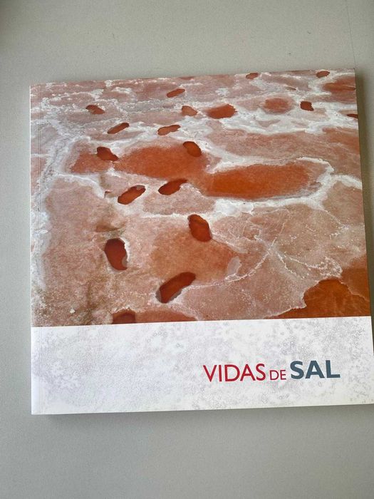 Livro "Vidas de Sal" - receitas hipossalinas + histórias relacionadas