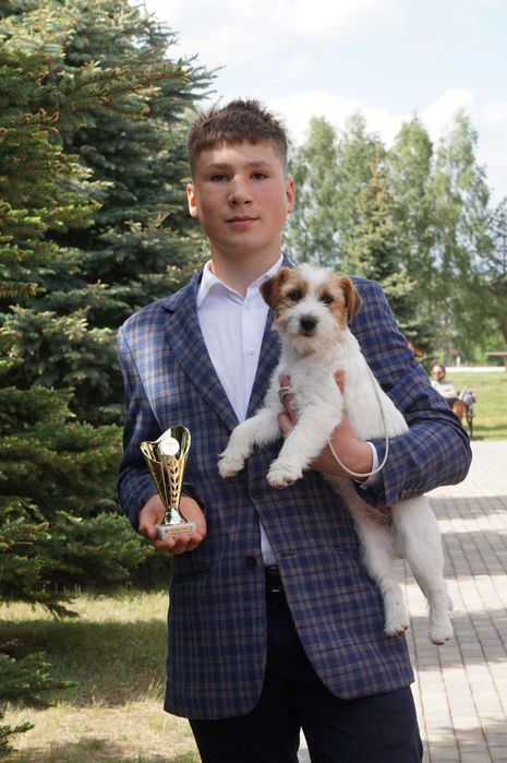 Jack Russell Terrier ZKwP FCI piesek rezerwacja