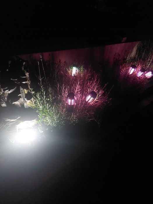 Lampki solarne led pochodnie