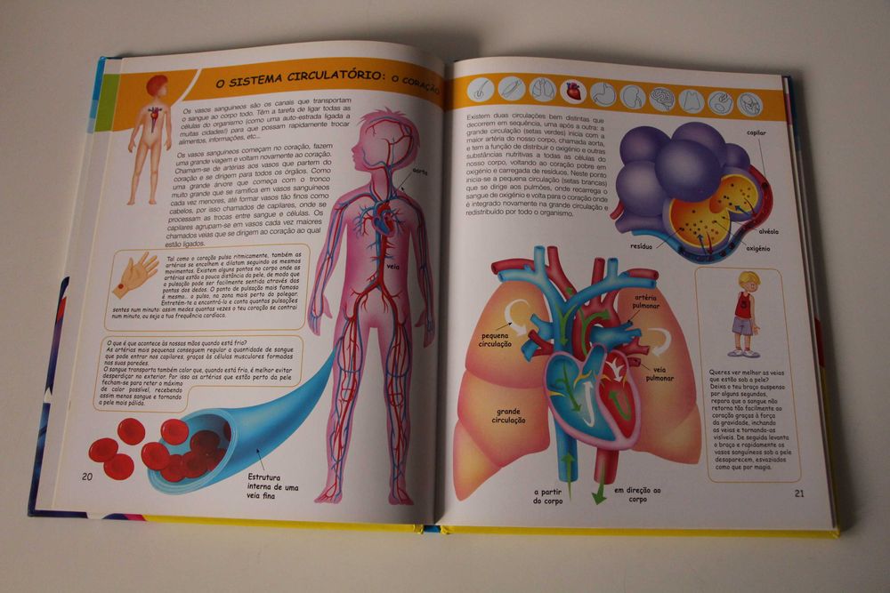 Livro - O corpo humano.  6 aos 10 anos.