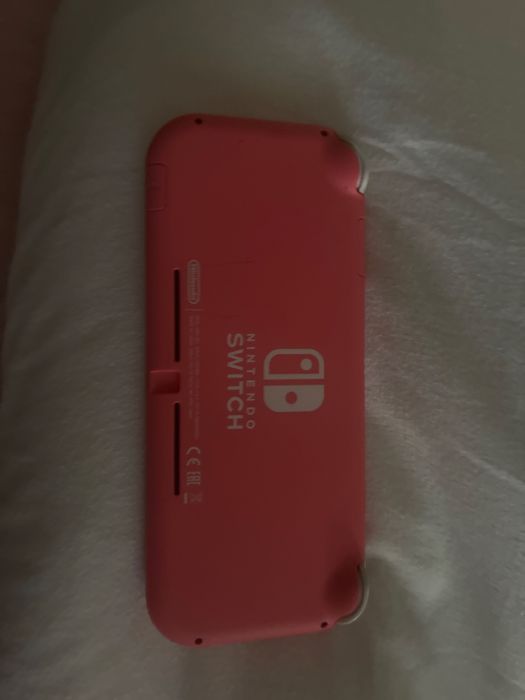 Nintendo switch lite