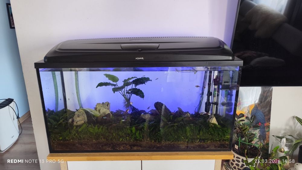 Sprzedam Akwarium 200l