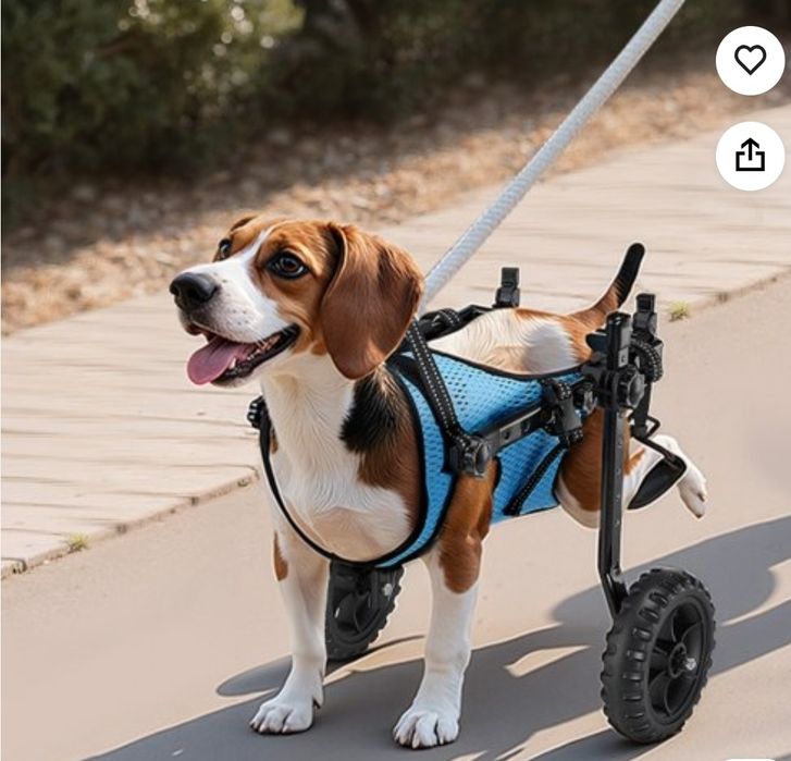 cadeira de rodas para animais de estimação da VEVOR
 projetada para auxiliar